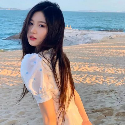 钢铁艺妓